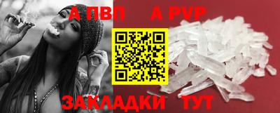 амф Донской