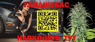 амф Донской