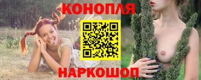 стафф Донецк