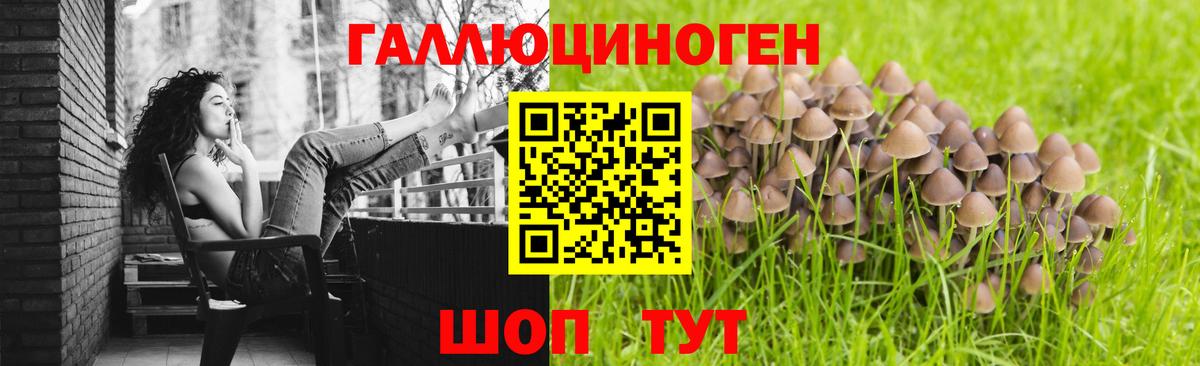 Галлюциногенные грибы мицелий  Вход с VPN  Карабулак 